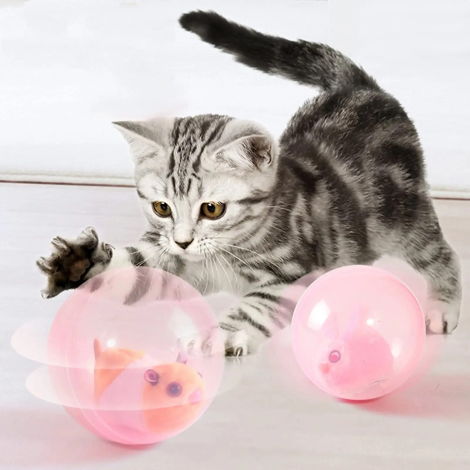 Fellino | Rollende Tierchen-Spielkugel für Katzen