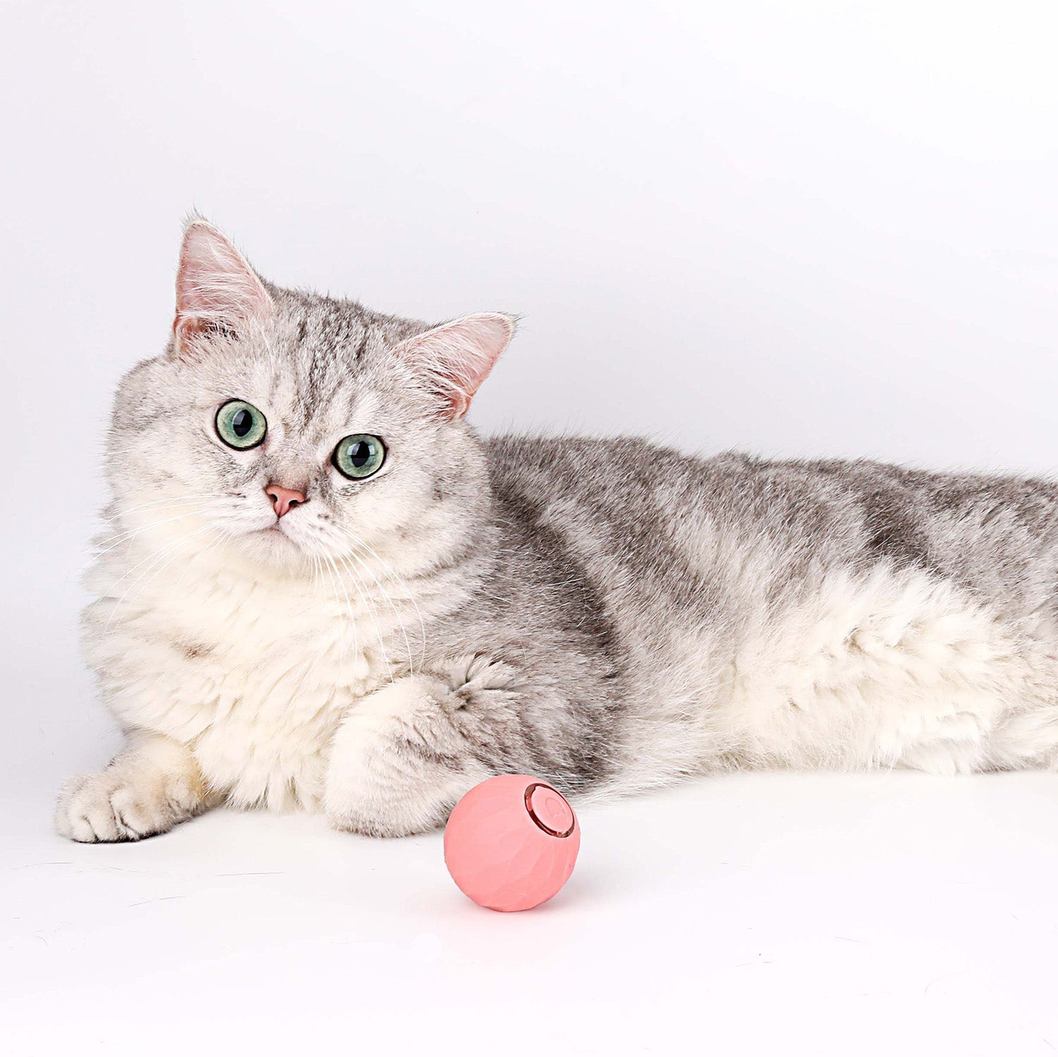 Wloomy | Interaktiver Power-Spielball für Katzen