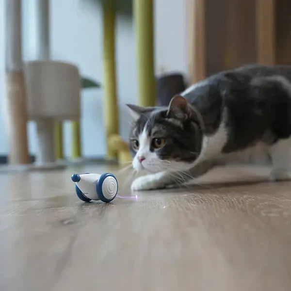 PlayTail | Intelligentes Mausspielzeug für Katzen