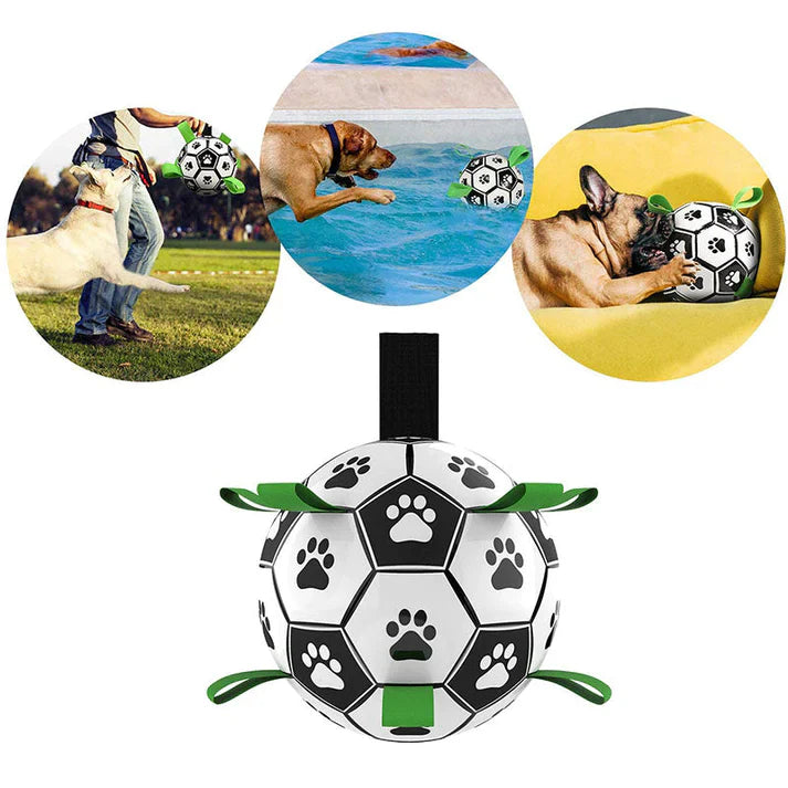 PlayBuddy | Interaktiver Hundeball
