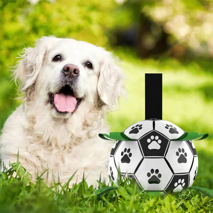 PlayBuddy | Interaktiver Hundeball