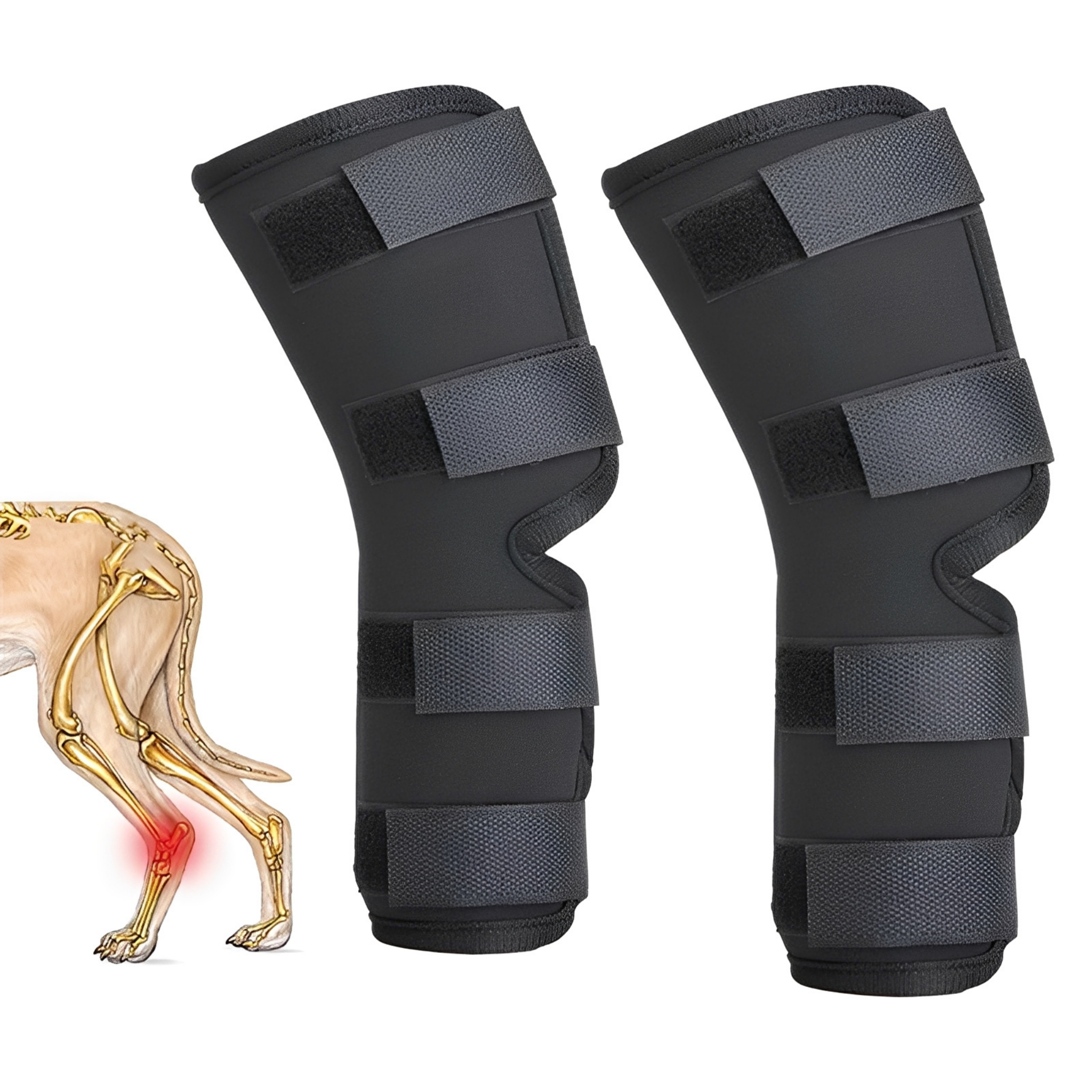 GelenkSchutz | Orthopädische Hunde-Beinschiene