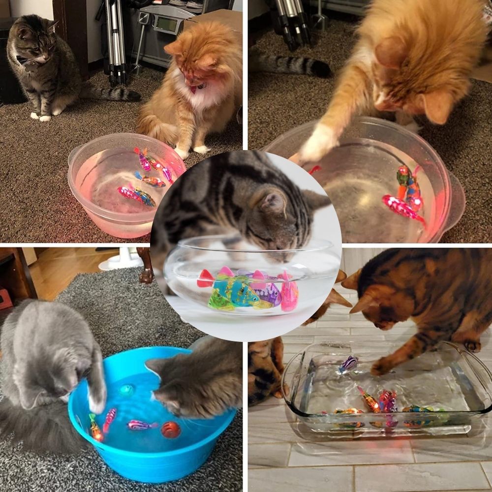 Interactieve kattenspeelgoedset met AquaDance technologie