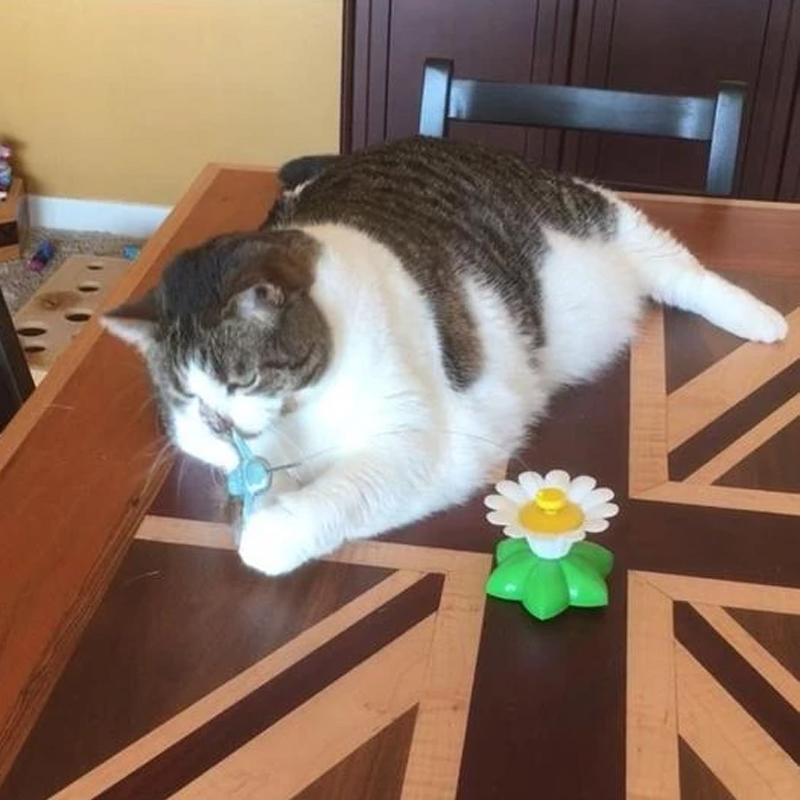 TigraFlitz | Interaktives Flugspielzeug für Katzen mit Kolibri & Schmetterling