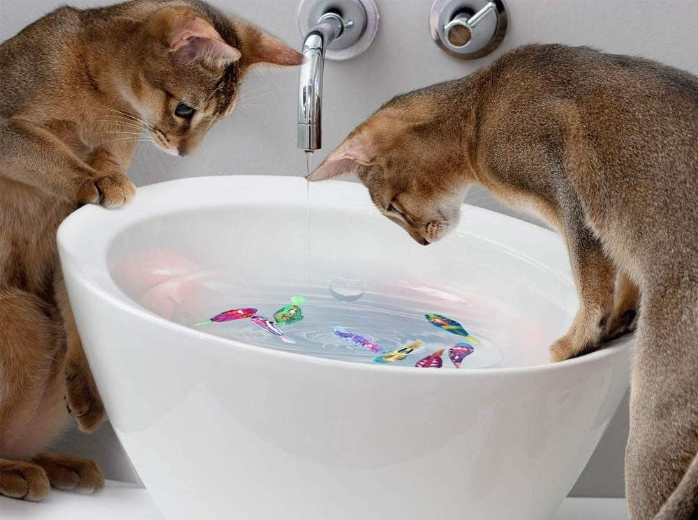 Interactieve kattenspeelgoedset met AquaDance technologie