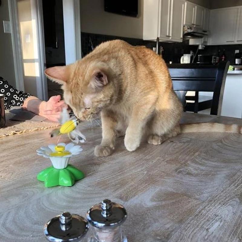 TigraFlitz | Interaktives Flugspielzeug für Katzen mit Kolibri & Schmetterling