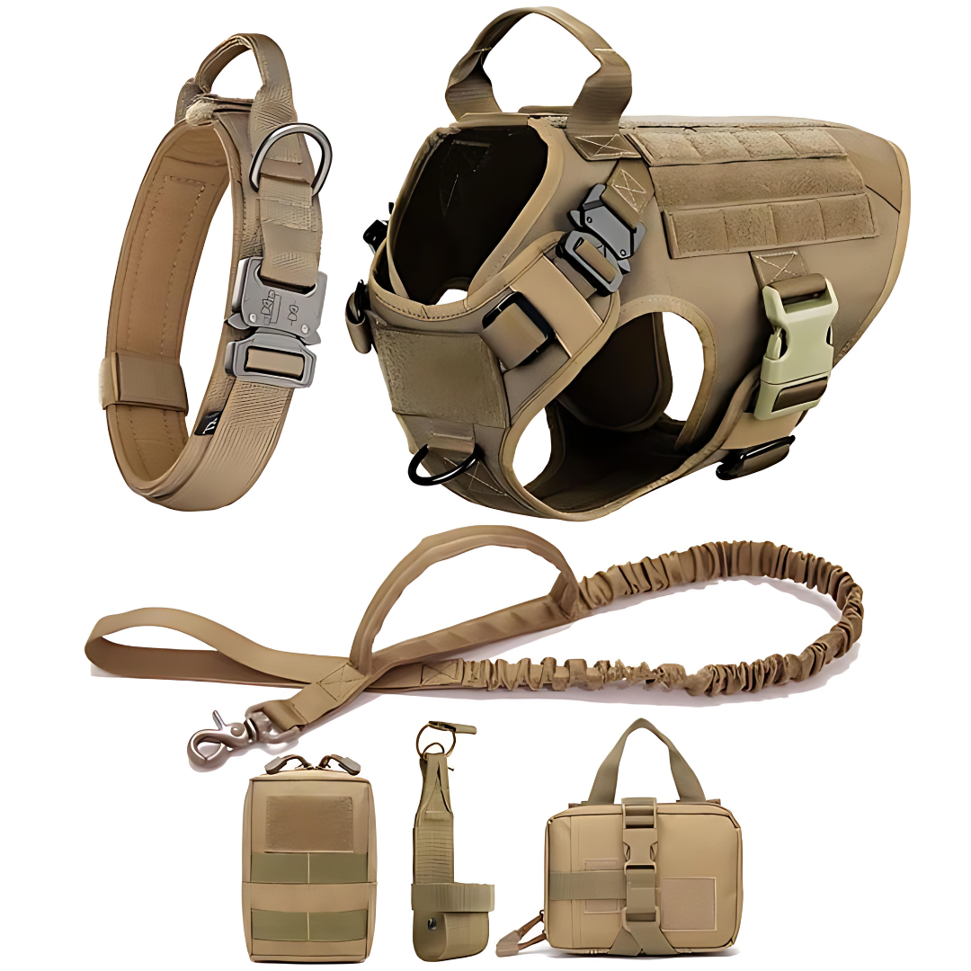 6 in 1 Komplettes Militär Hundegeschirr und Leinen-Set für Training und Spaziergänge - Fluffy Adventures Haustiershop Schwarzes 6 in 1 Komplettset / S: 10kg-15kg Mein Shop Hundetrainingsgeschirr 6 in 1 Komplettes Militär Hundegeschirr und Leinen-Set für Training und Spaziergänge Hundetrainingsgeschirr Mein Shop Schwarzes 6 in 1 Komplettset / S: 10kg-15kg Fluffy Adventures Haustiershop