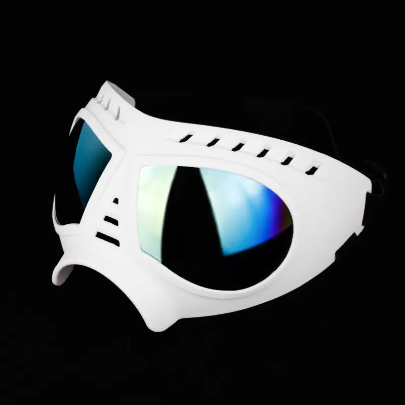 PetGaze | Schutzbrille für Hunde mit UV- & Windschutz