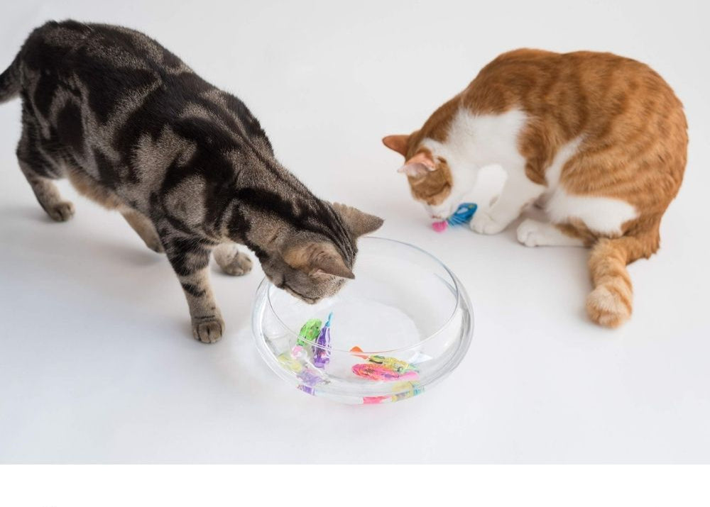 Interactieve kattenspeelgoedset met AquaDance technologie