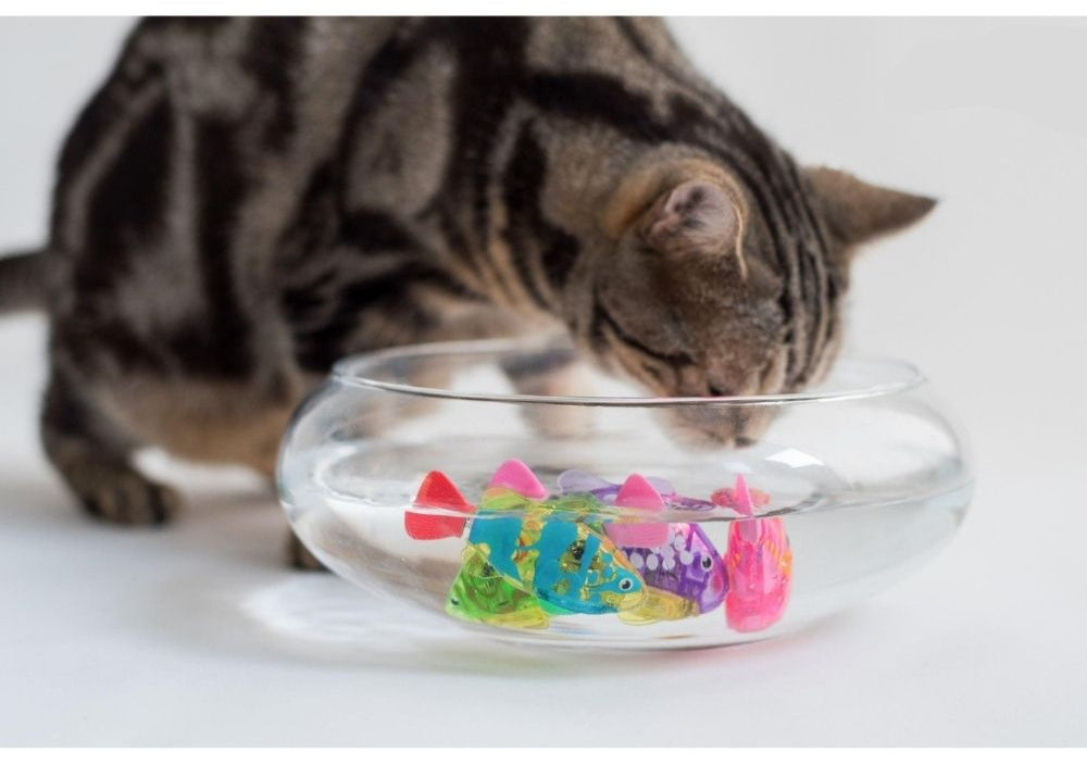 Interactieve kattenspeelgoedset met AquaDance technologie