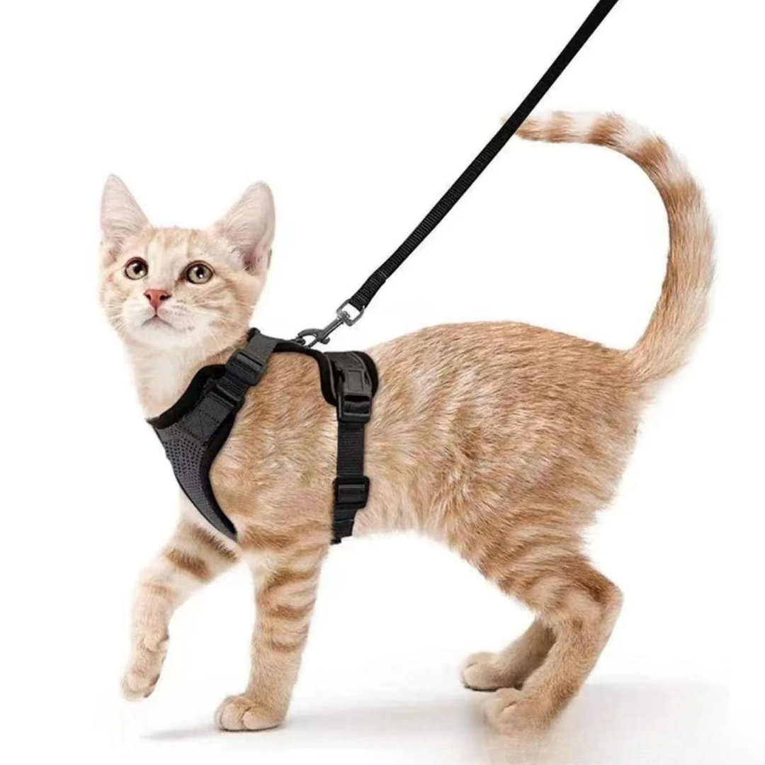 Harnix | Atmungsaktives Katzen-Geschirr mit Verstellfunktion