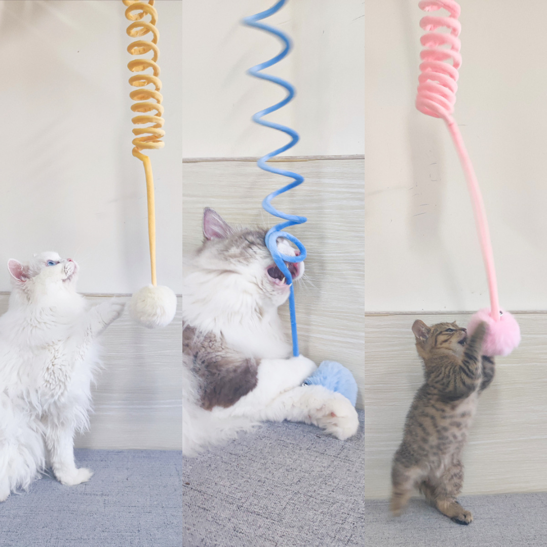 Nala | Interaktives Feder-Gummispiel für aktive Katzen