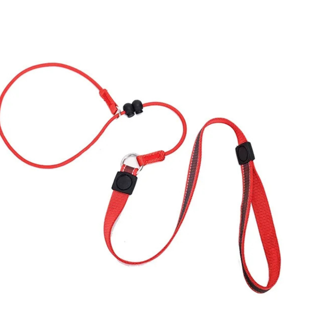FeroPets | Kombi-Schlupfleine mit integriertem Halsband