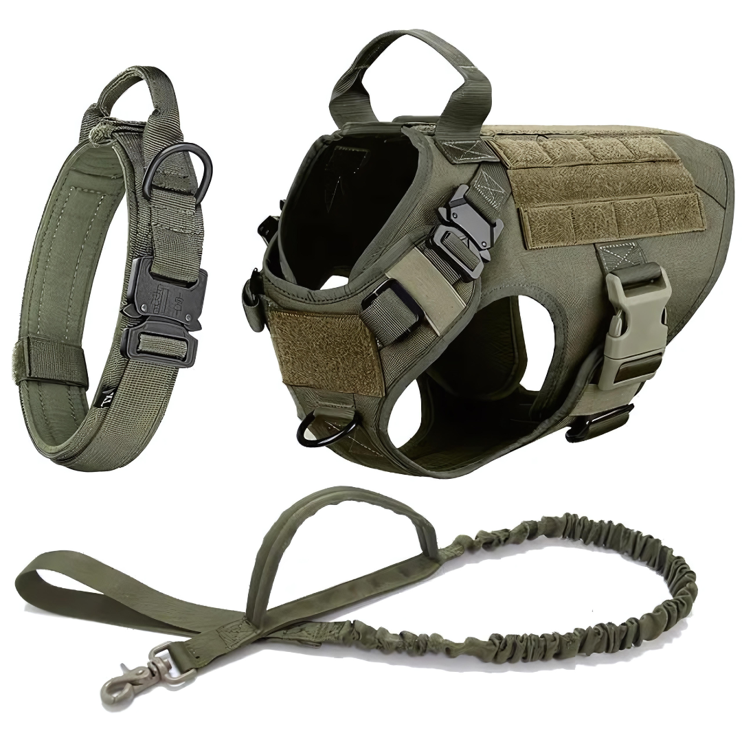 6 in 1 Komplettes Militär Hundegeschirr und Leinen-Set für Training und Spaziergänge - Fluffy Adventures Haustiershop Schwarzes 6 in 1 Komplettset / S: 10kg-15kg Mein Shop Hundetrainingsgeschirr 6 in 1 Komplettes Militär Hundegeschirr und Leinen-Set für Training und Spaziergänge Hundetrainingsgeschirr Mein Shop Schwarzes 6 in 1 Komplettset / S: 10kg-15kg Fluffy Adventures Haustiershop