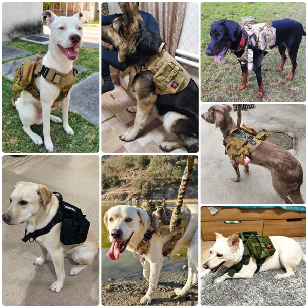 Vargan | Taktisches Hundegeschirr & Leinen-Set – 2-in-1 Komplettlösung für Outdoor-Training