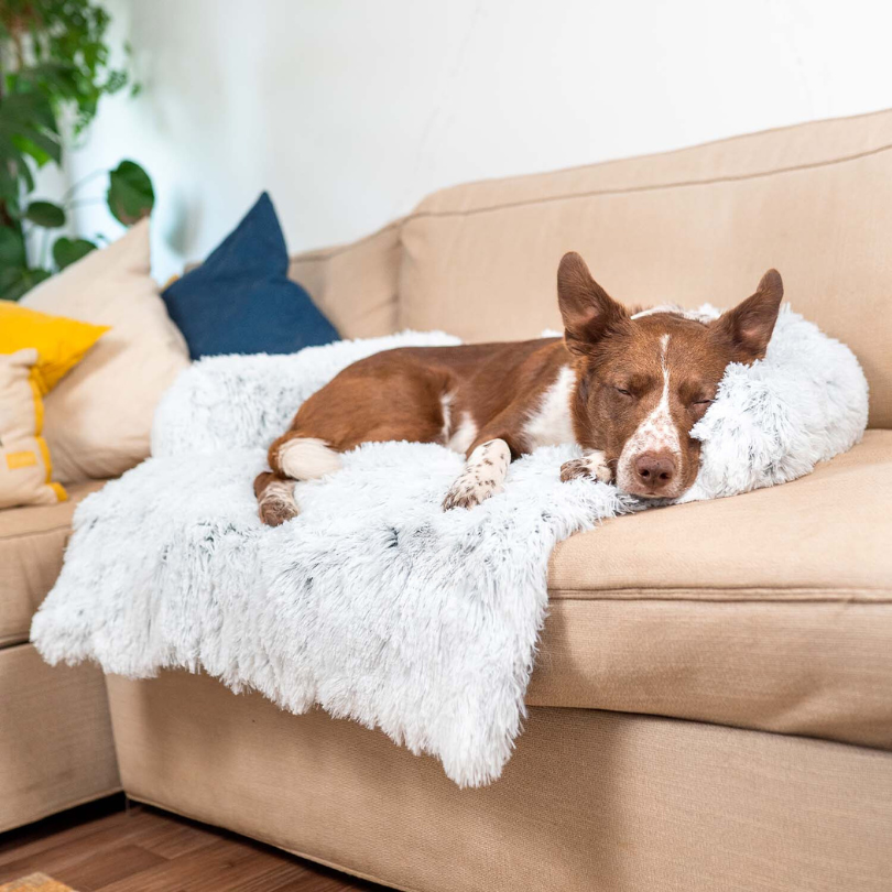 Stella | Große Hundematte mit Möbel-Schutzfunktion