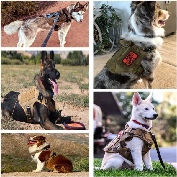 Vargan | Taktisches Hundegeschirr & Leinen-Set – 2-in-1 Komplettlösung für Outdoor-Training
