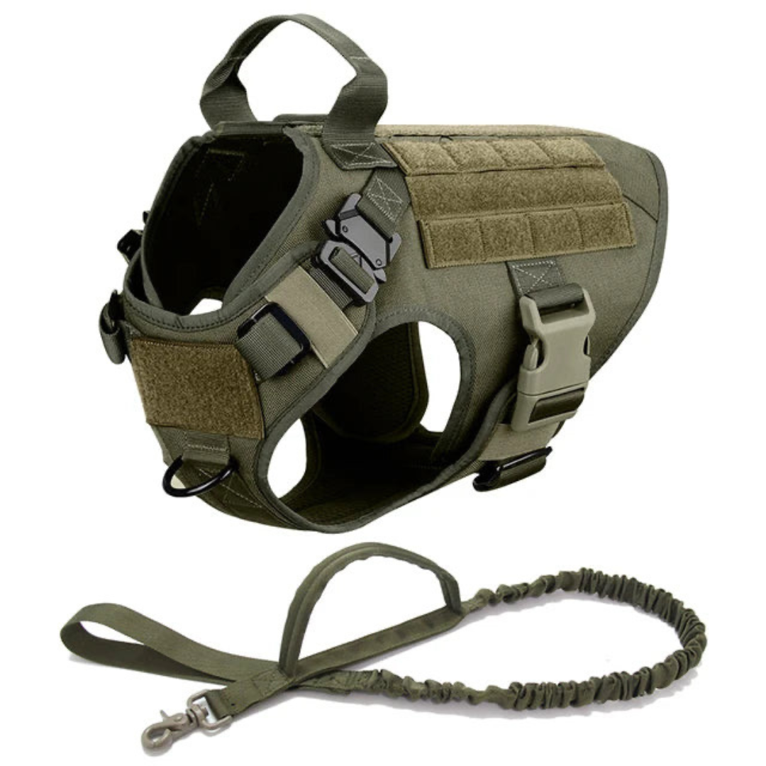 6 in 1 Komplettes Militär Hundegeschirr und Leinen-Set für Training und Spaziergänge - Fluffy Adventures Haustiershop Schwarzes 6 in 1 Komplettset / S: 10kg-15kg Mein Shop Hundetrainingsgeschirr 6 in 1 Komplettes Militär Hundegeschirr und Leinen-Set für Training und Spaziergänge Hundetrainingsgeschirr Mein Shop Schwarzes 6 in 1 Komplettset / S: 10kg-15kg Fluffy Adventures Haustiershop
