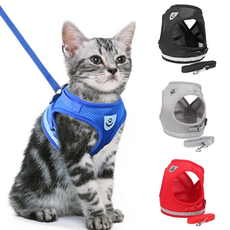 Feliora | Reflektierendes Sicherheitsgeschirr für Katzen