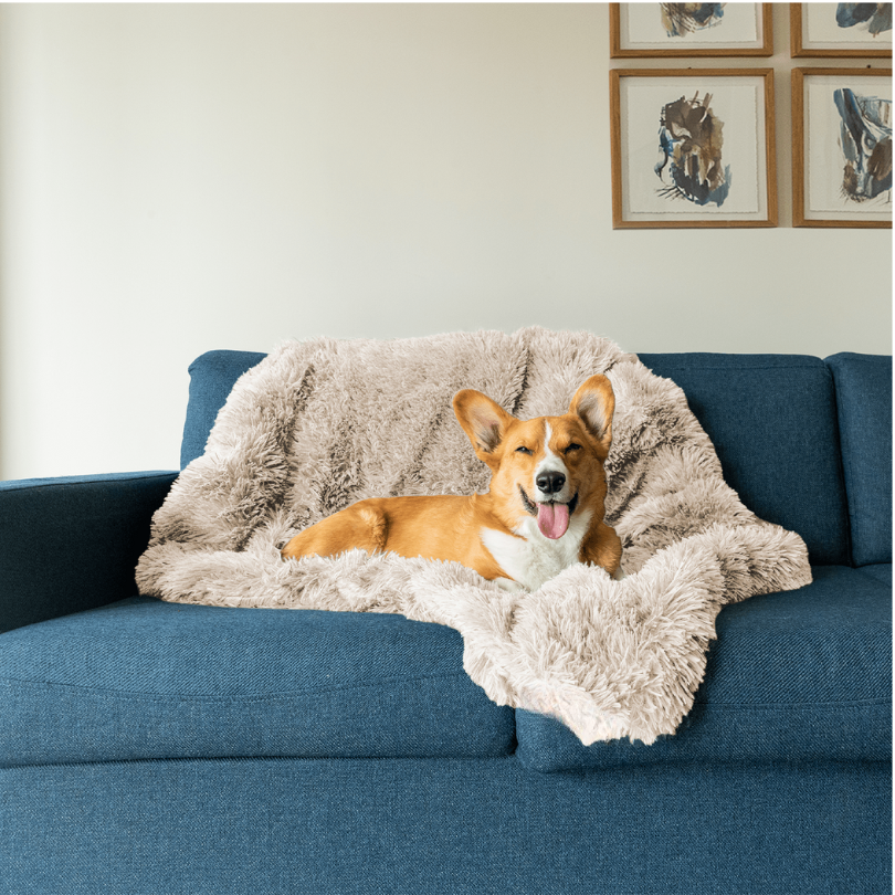 SnugTail | Beruhigende Hundedecke mit Anti-Stress-Funktion