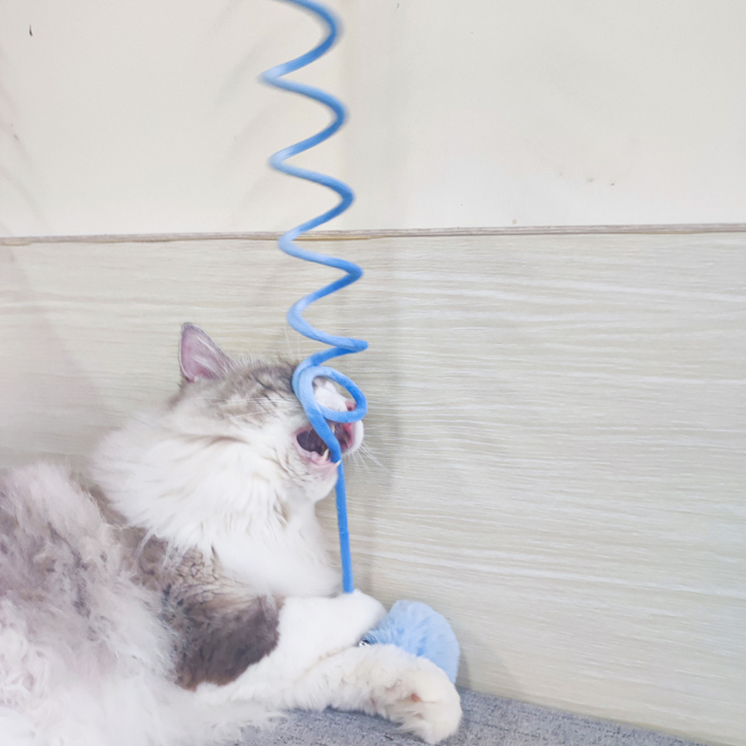 Nala | Interaktives Feder-Gummispiel für aktive Katzen