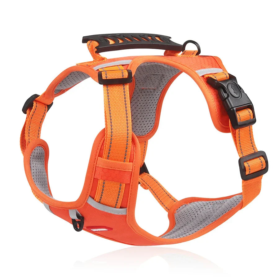 IronPaw | Robustes Hundegeschirr für Kontrolle & Komfort