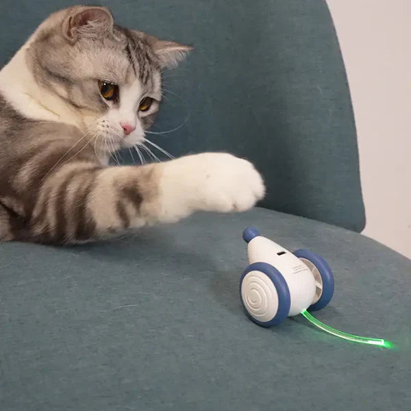 Auto-Maus KI-Katzenspielzeug 🐭🤖 - Fluffy Adventures Haustiershop Blau 💙 🔥 Sparen bis zu 50%! 🐾✨ Mein Shop Elektronisches Katzenspielzeug Auto-Maus KI-Katzenspielzeug 🐭🤖 Elektronisches Katzenspielzeug Mein Shop Blau 💙 🔥 Sparen bis zu 50%! 🐾✨ Fluffy Adventures Haustiershop