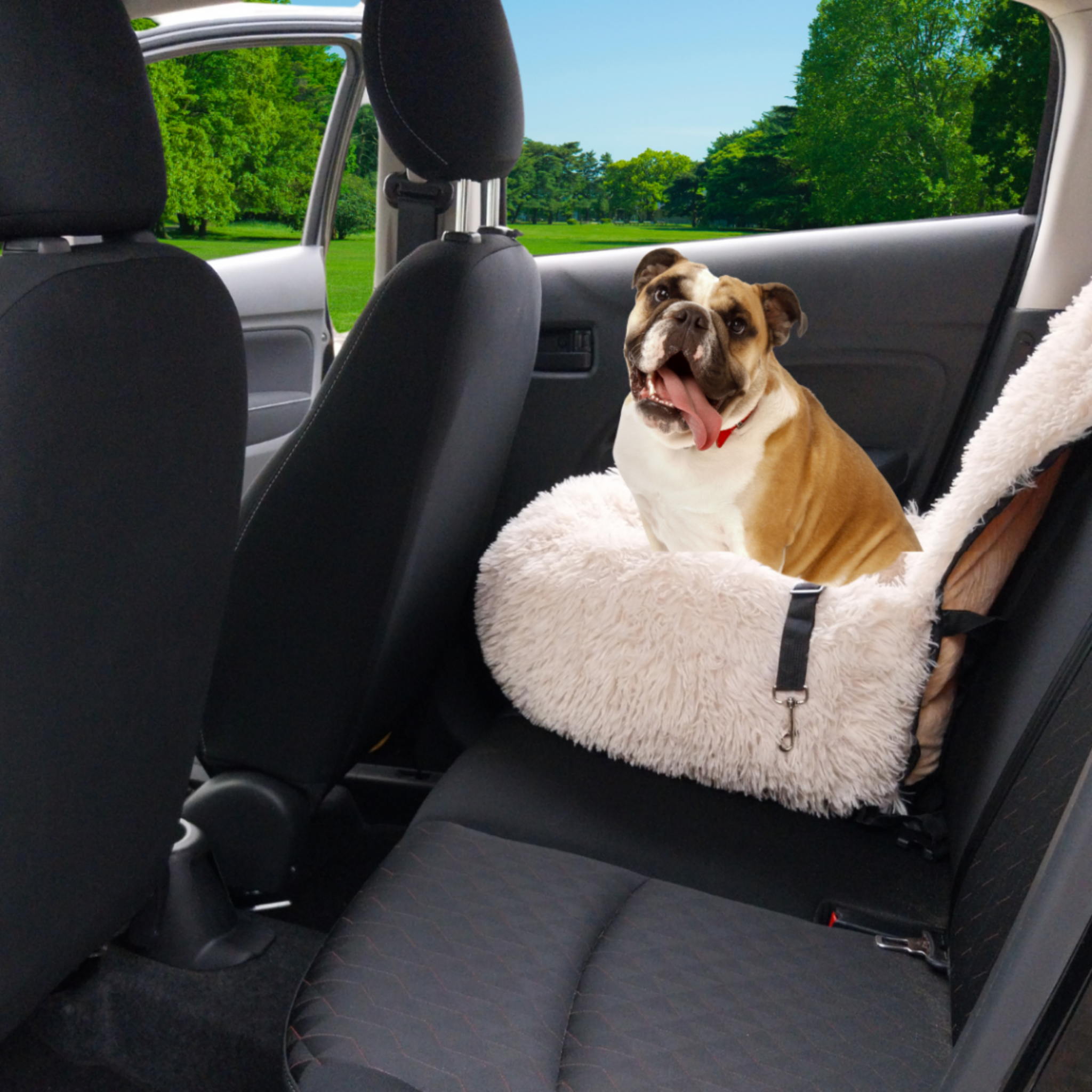 Fellimo | Komfortabler Autositz für Haustiere mit Sicherheitsgurt