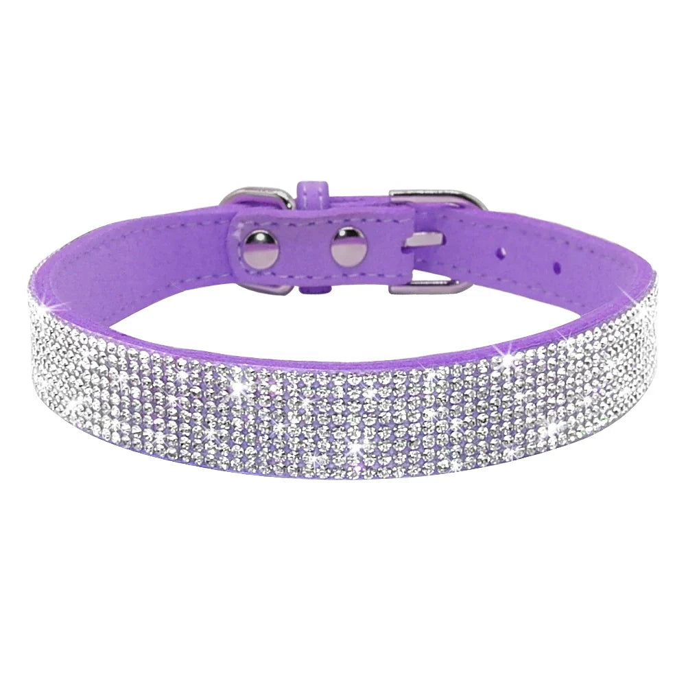 Glitzino | Funkelndes Halsband für stilvolle Hunde