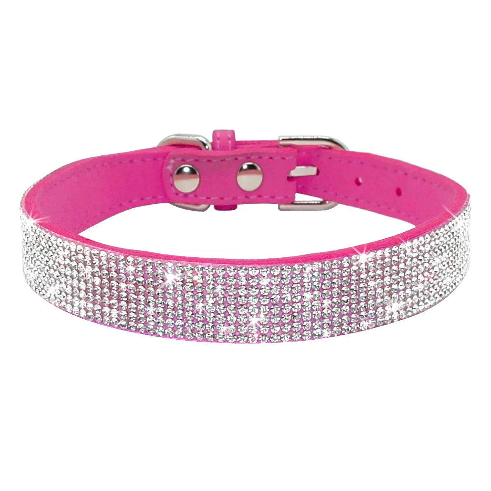 Glitzino | Funkelndes Halsband für stilvolle Hunde
