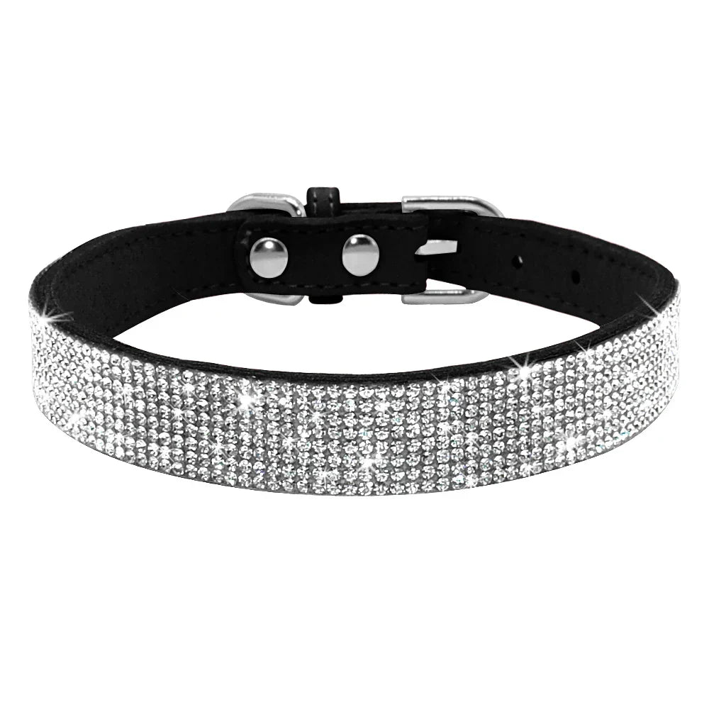 Glitzino | Funkelndes Halsband für stilvolle Hunde