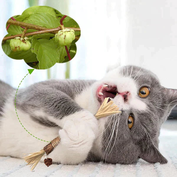 Kratziro | Natürlicher Kaustick & Krallenfreund für Katzen