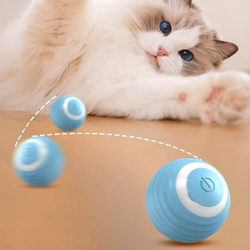 Rollino | Intelligenter Spielball für neugierige Katzen