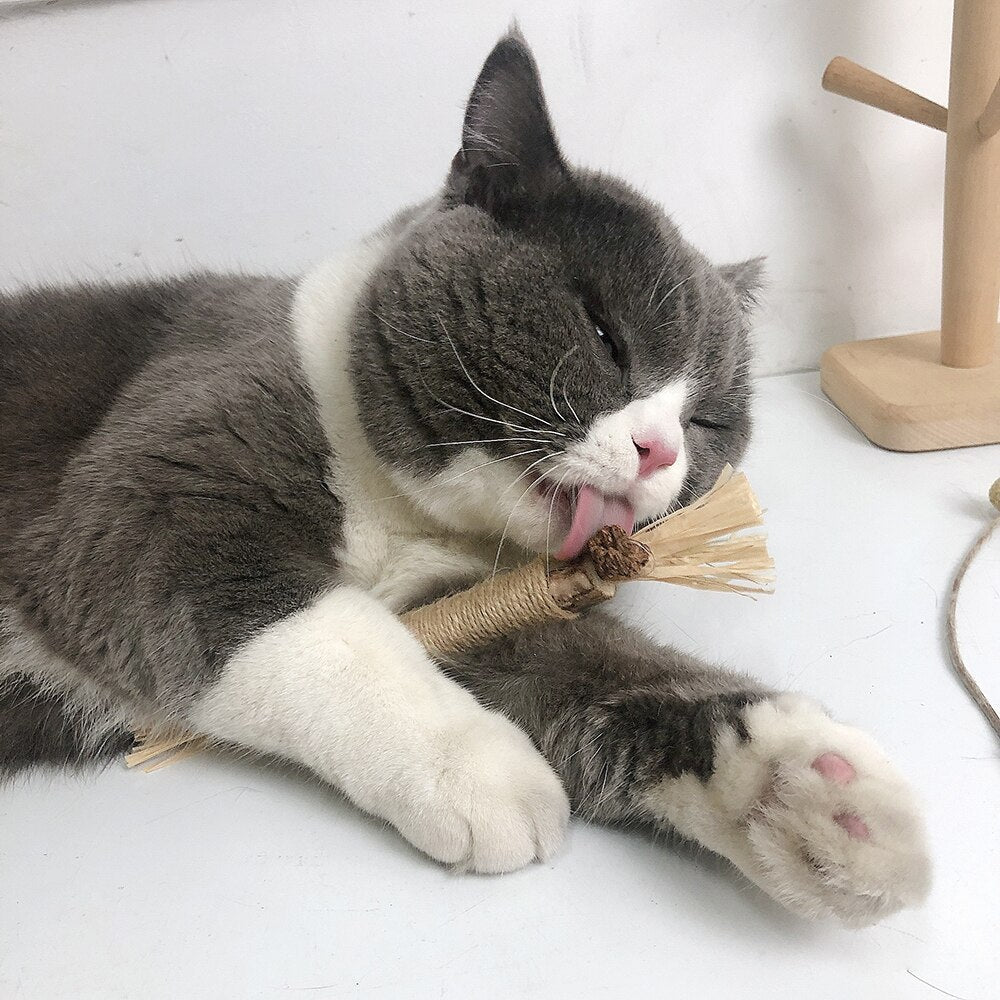 Kratziro | Natürlicher Kaustick & Krallenfreund für Katzen