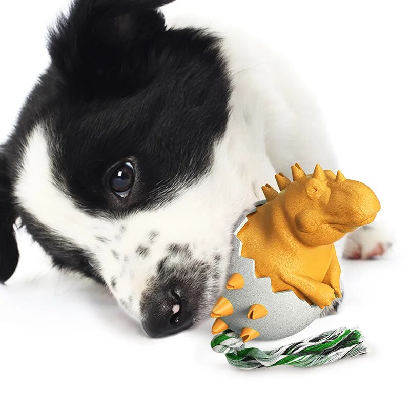 Dinobello | Kauspielzeug mit Zerrseil im Dino-Ei-Design für Hunde