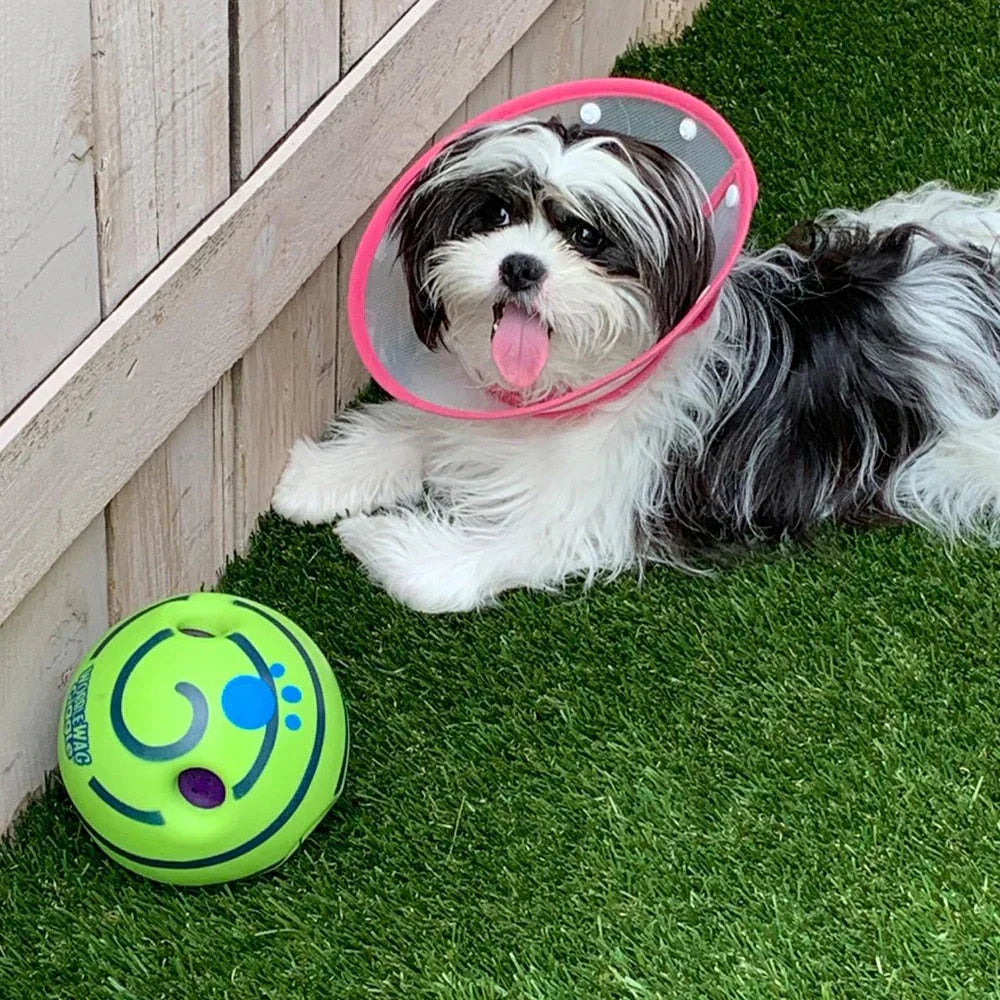 WuffWhirl | Interaktiver Geräusch- & Vibrationsball für Hunde