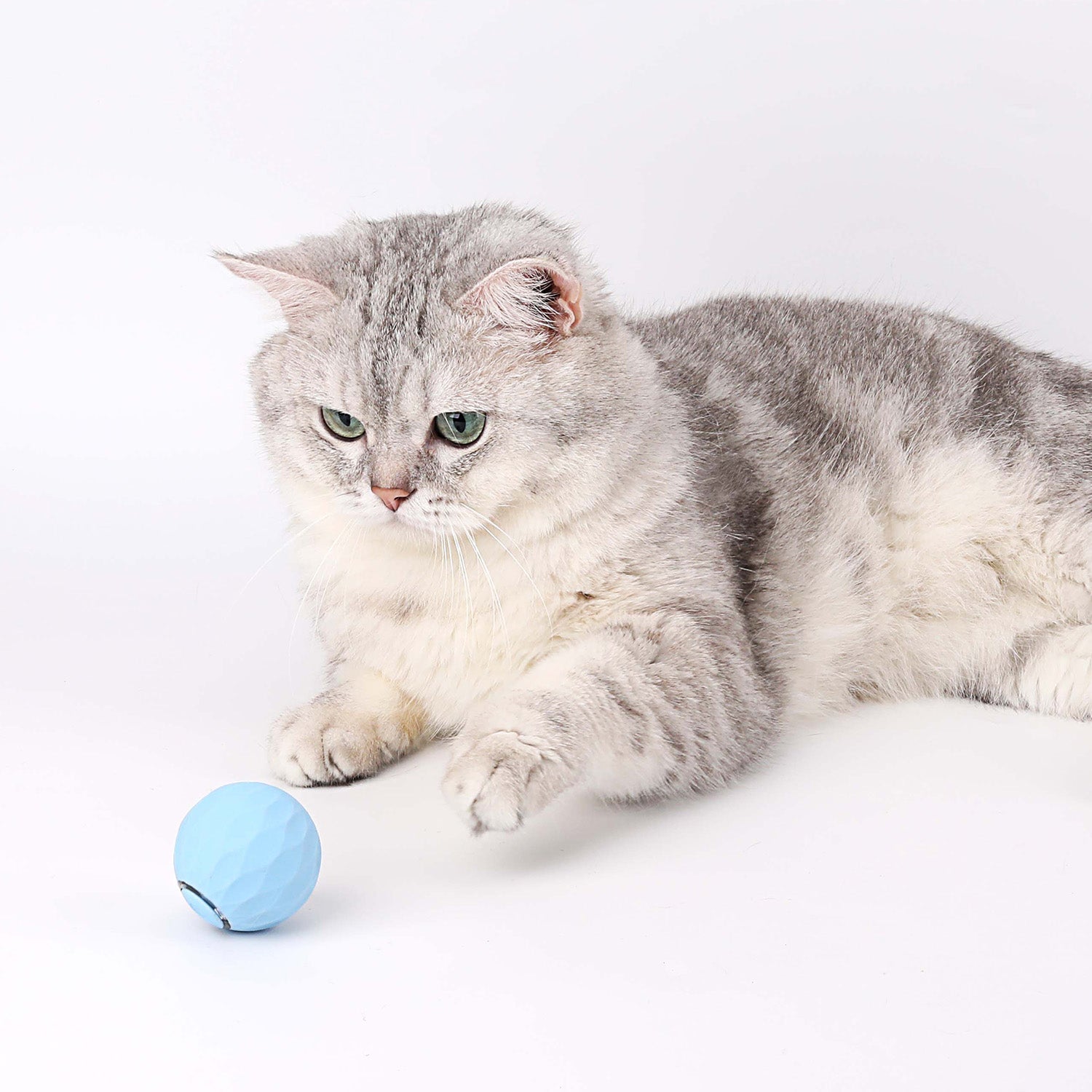 Wloomy | Interaktiver Power-Spielball für Katzen