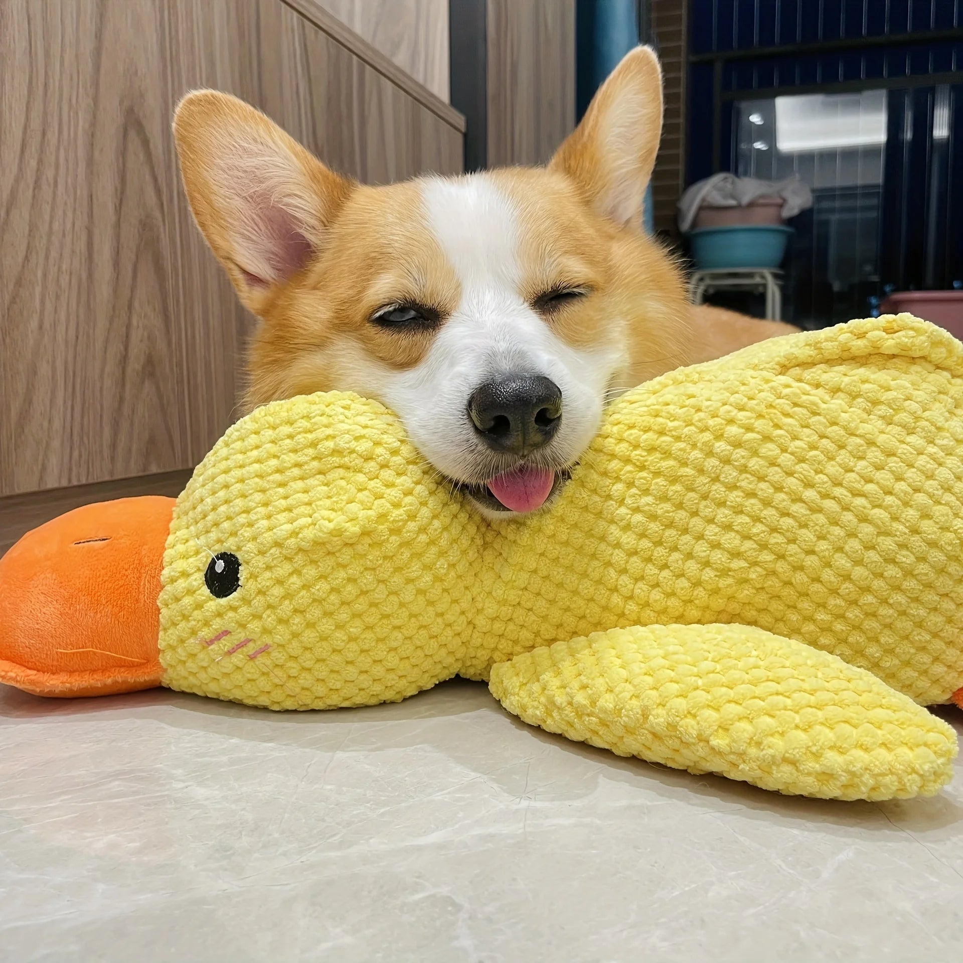 CalmBuddy | Beruhigendes Plüschspielzeug für Hunde