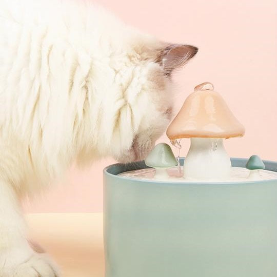 AquaShroom | Pilzförmiger Trinkbrunnen für Katzen