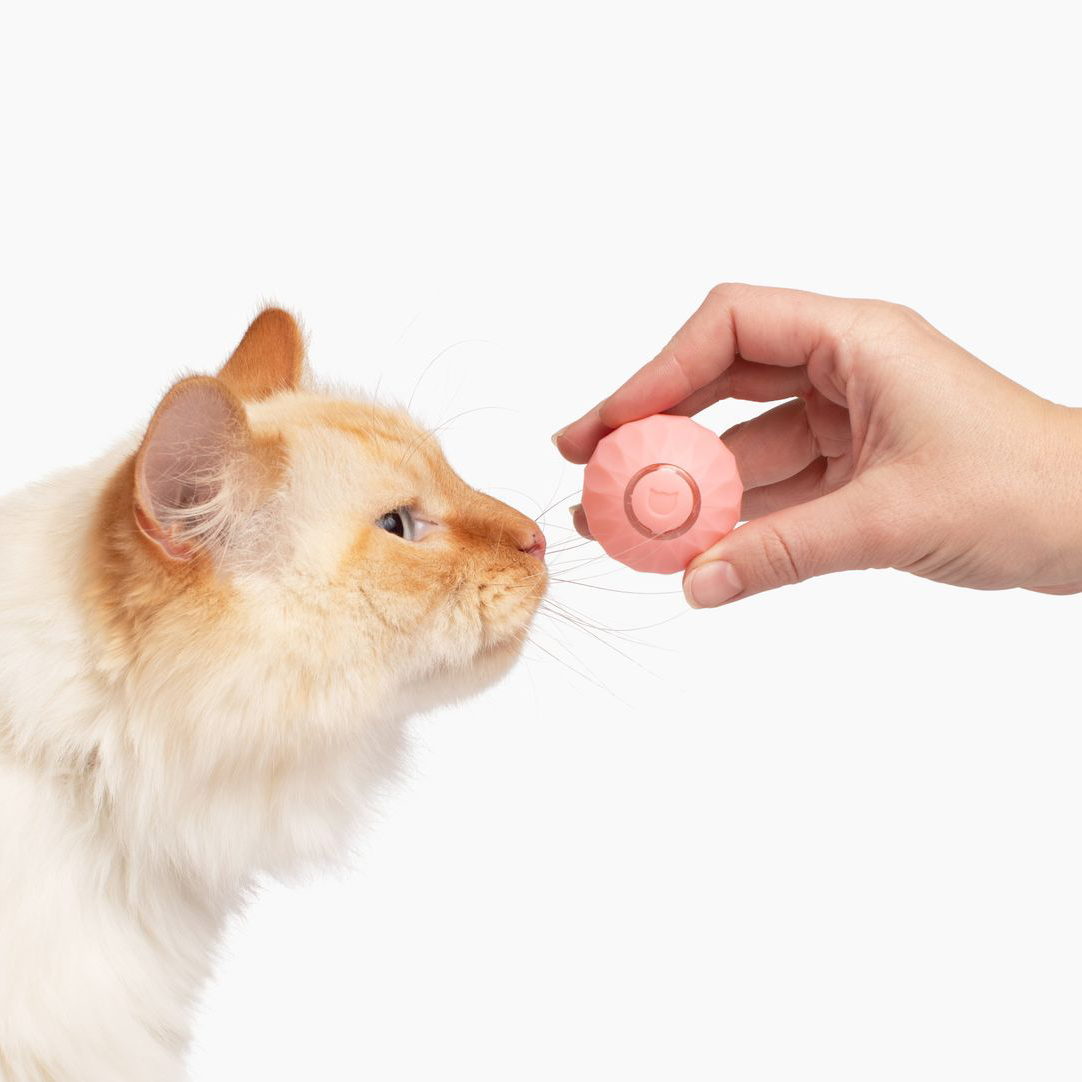 Wloomy | Interaktiver Power-Spielball für Katzen