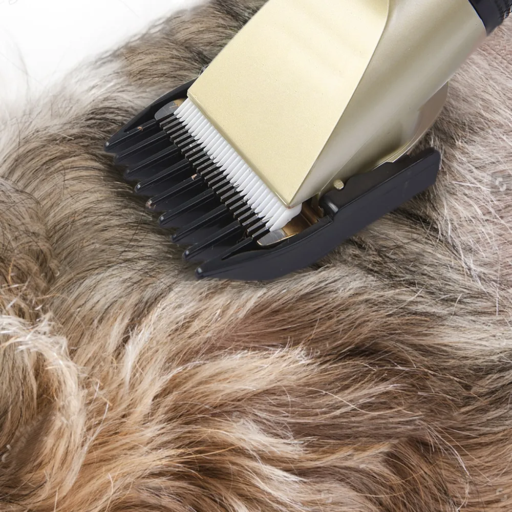 Fellmaxx | Professioneller Hundehaarschneider für die Heimfellpflege