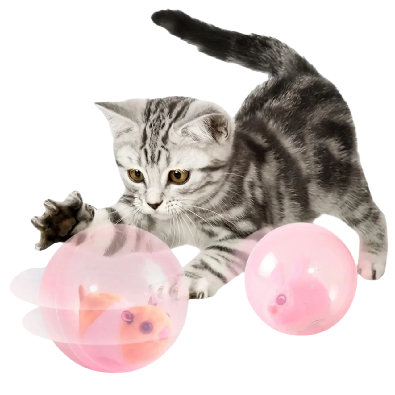 Fellino | Rollende Tierchen-Spielkugel für Katzen