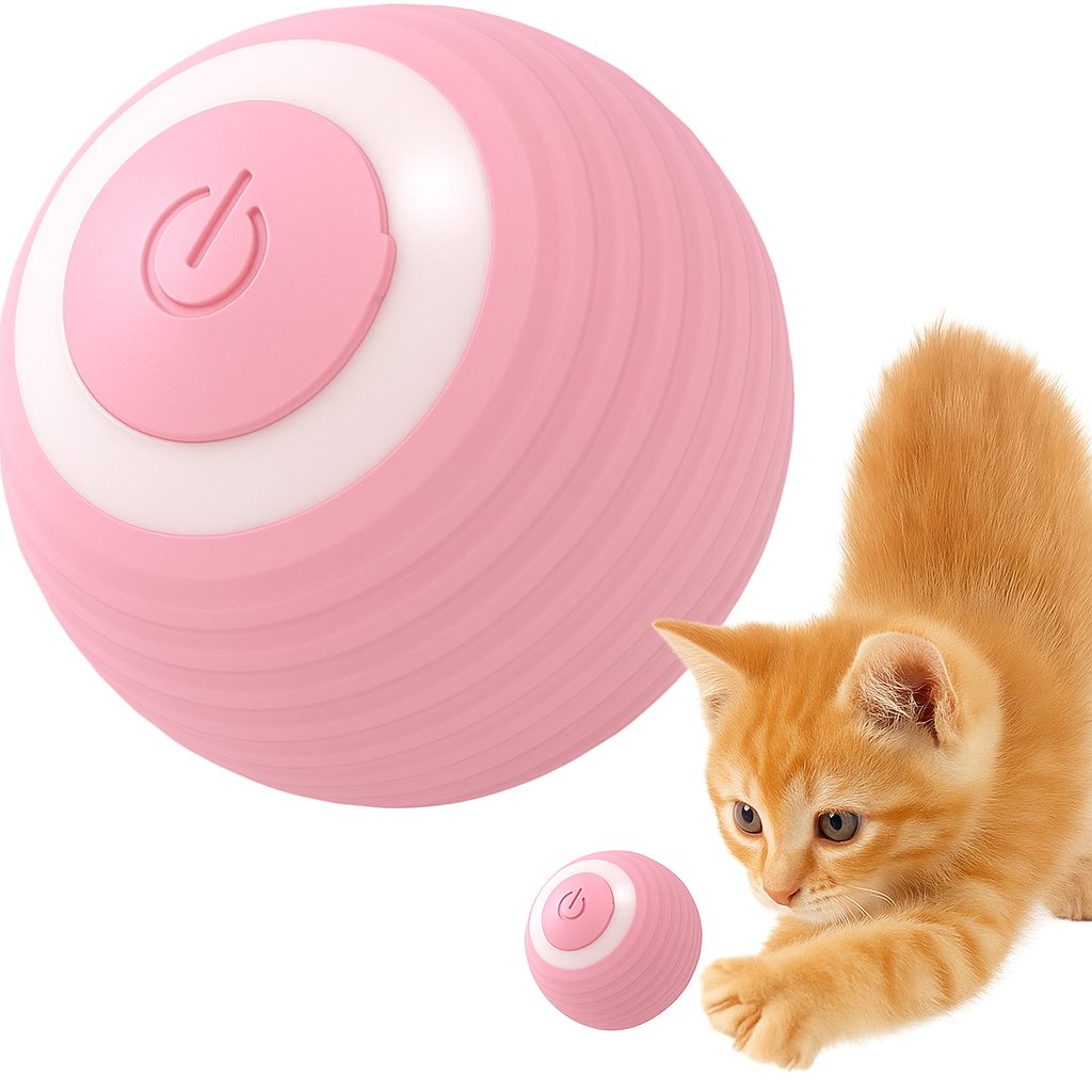 Rollino | Intelligenter Spielball für neugierige Katzen