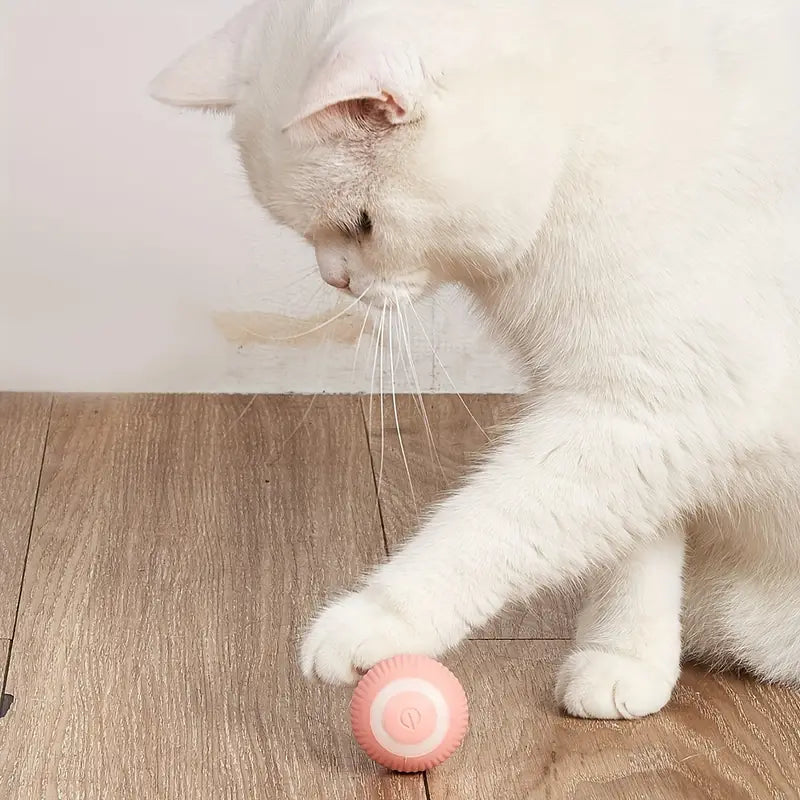 Rollino | Intelligenter Spielball für neugierige Katzen