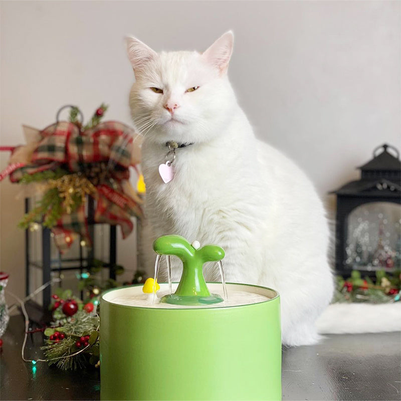 SpringFlow | Katzenbrunnen Frühlingsedition
