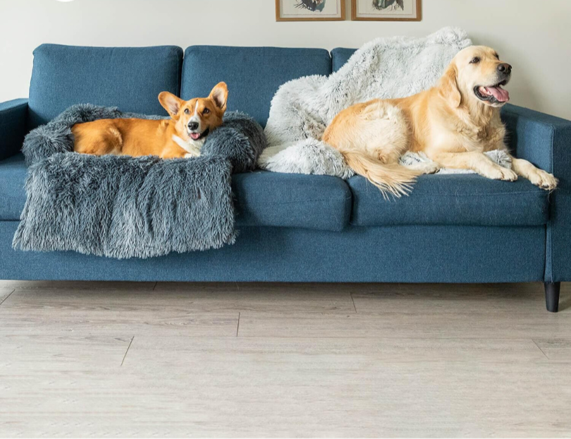 SnugTail | Beruhigende Hundedecke mit Anti-Stress-Funktion