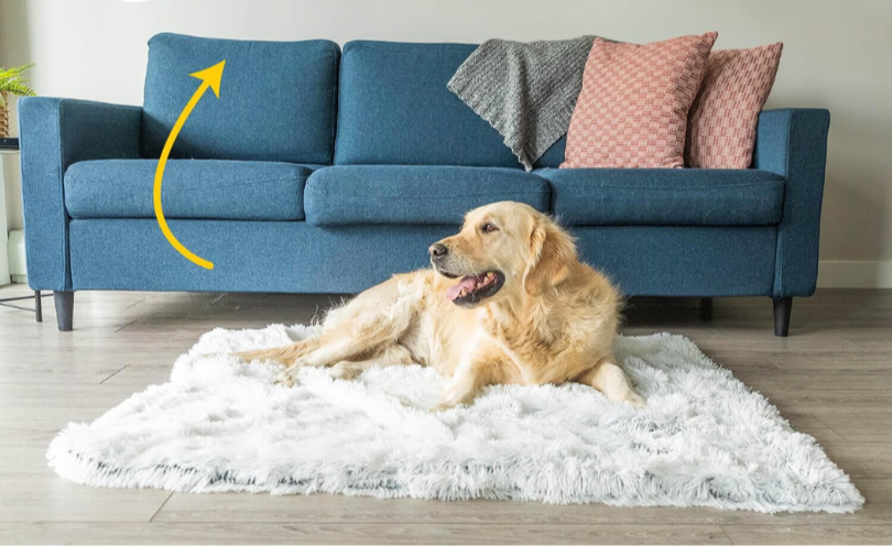SnugTail | Beruhigende Hundedecke mit Anti-Stress-Funktion
