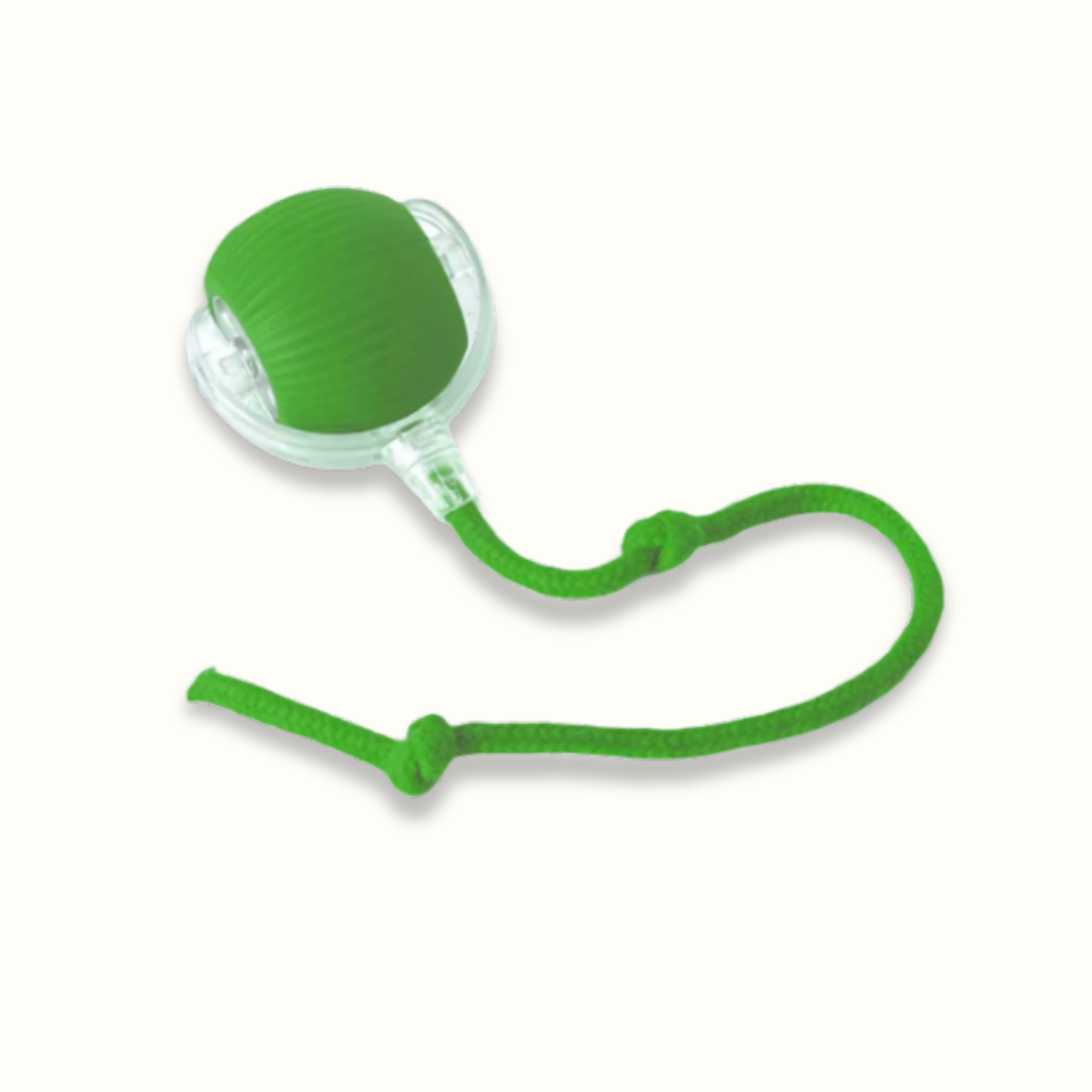 WuffSpin | Interaktiver Hundespielball