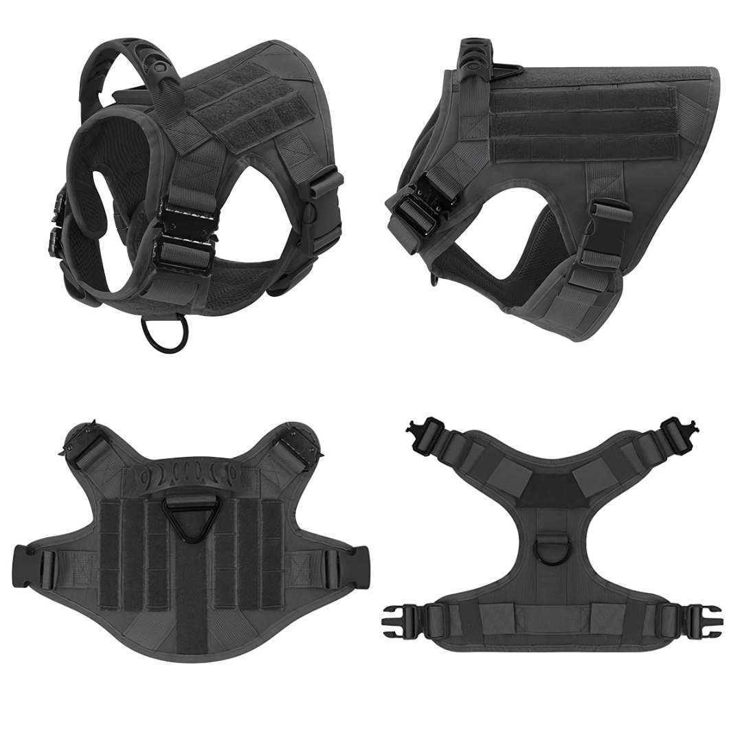 Vargan | Taktisches Hundegeschirr & Leinen-Set – 2-in-1 Komplettlösung für Outdoor-Training