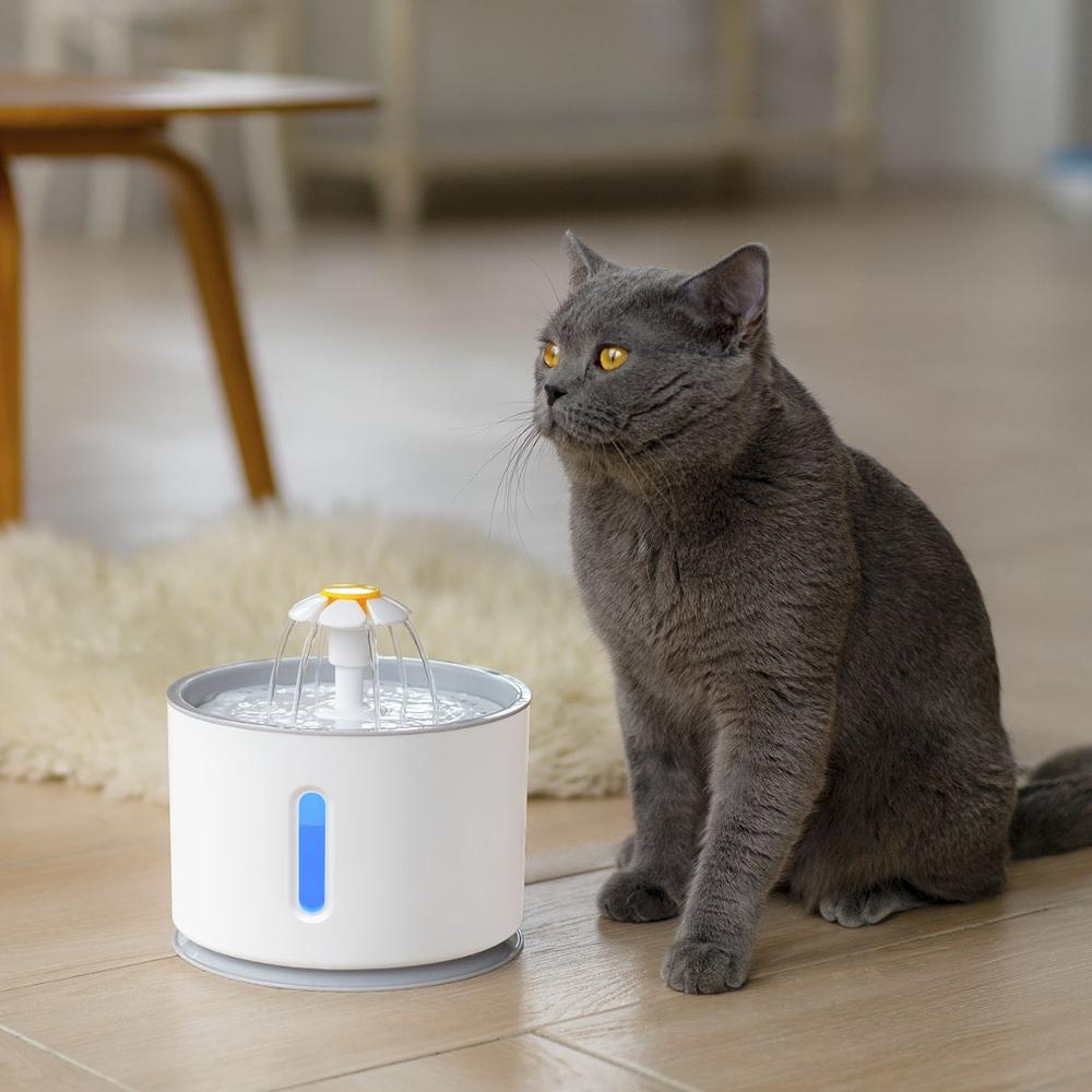Aquaneko | Premium Trinkbrunnen für Katzen – Edelstahl & Filtertechnik